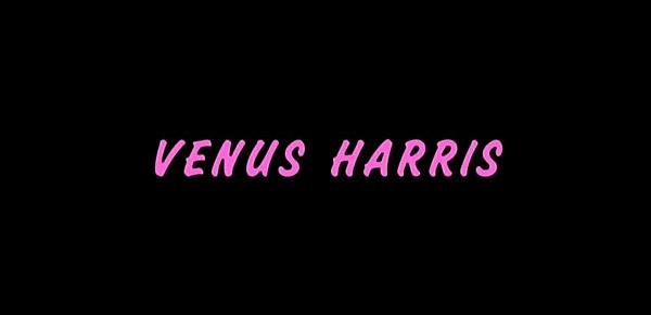  SEXY MAID VENUS HARRIS TAKES A RIDE ON A BIG HARD DICK